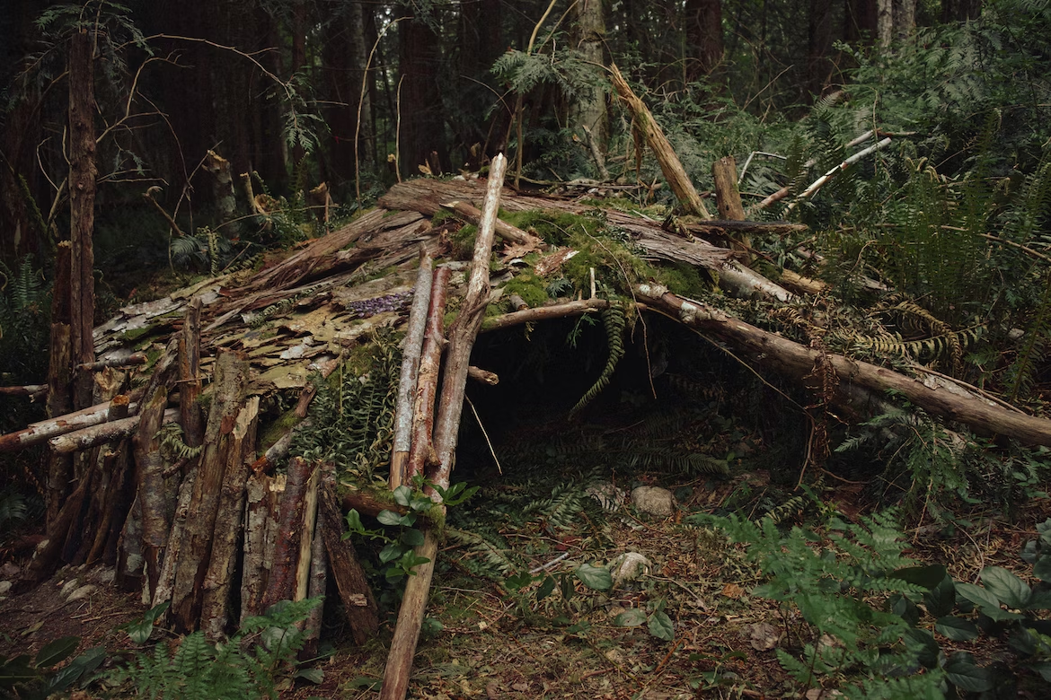 Building a Lean-to Shelter: The Ultimate Survival Guide