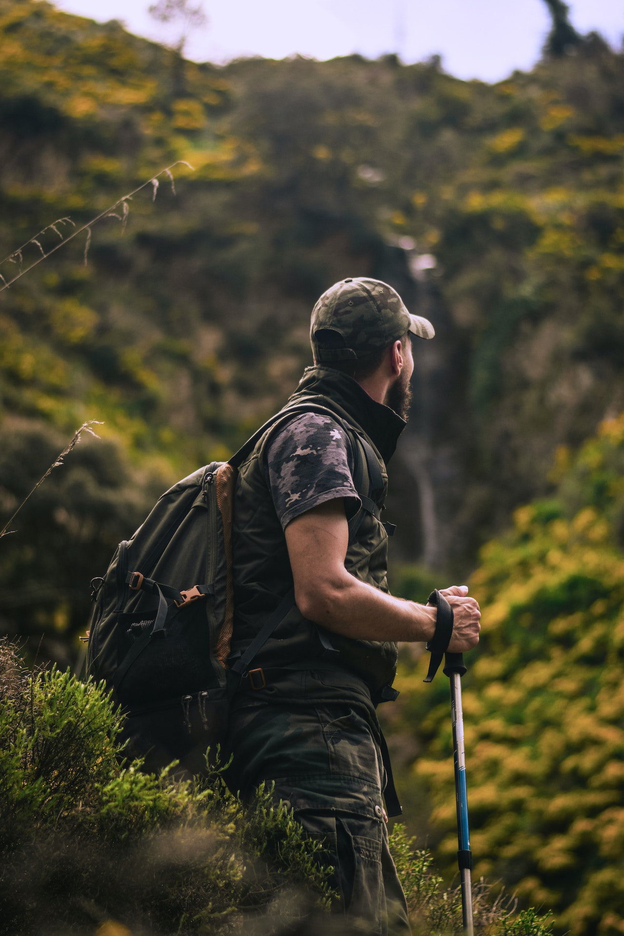 Foraging and Hunting for Food: Survival Essentials in the Wilderness