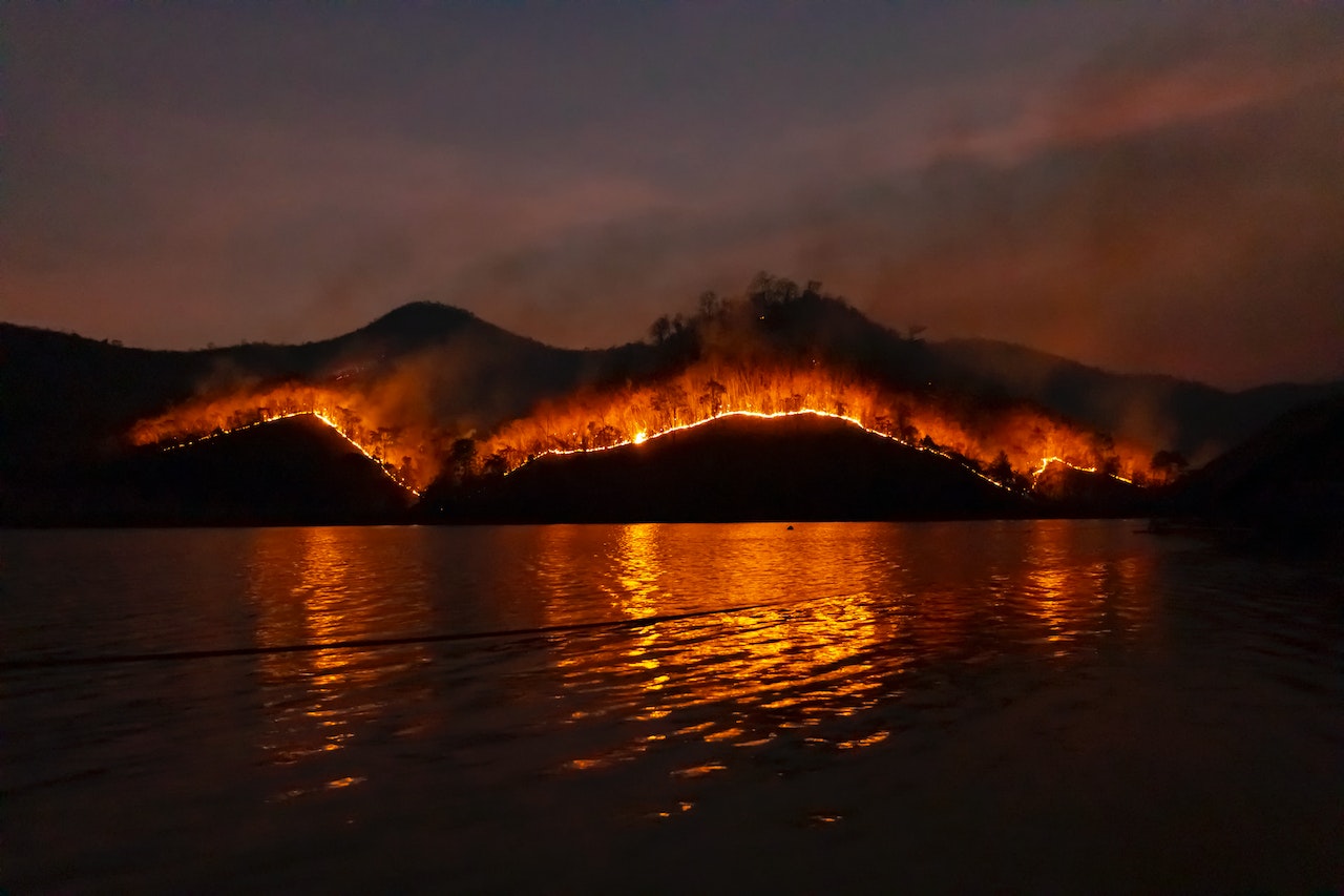 Surviving and Prepping for Wildfires: A Comprehensive Guide